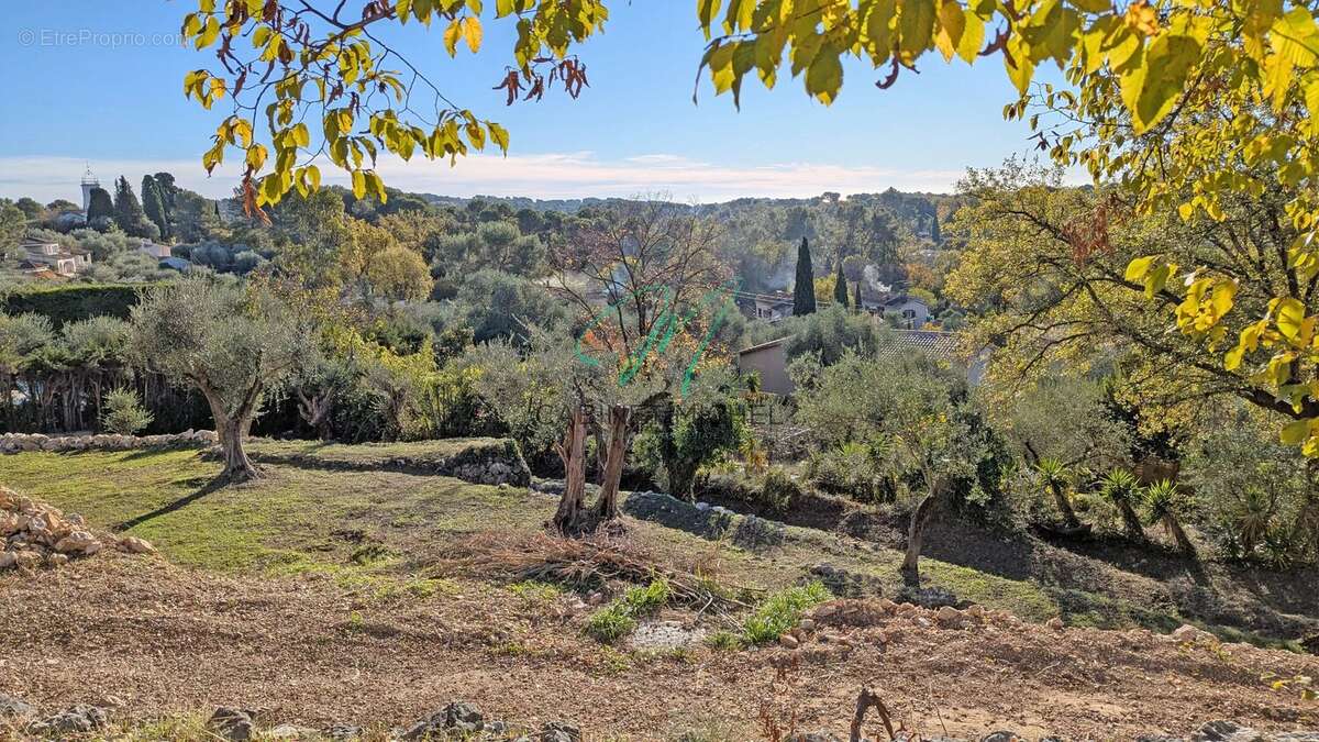 Terrain à ROQUEFORT-LES-PINS