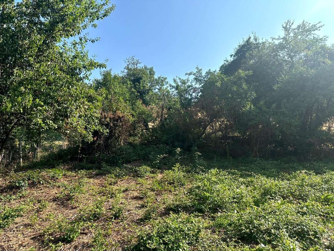 Maison à vendre avec grange attenante et terrain VITTEAUX (21) - photo 6
