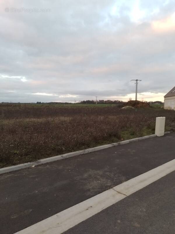 Terrain à SINCENY
