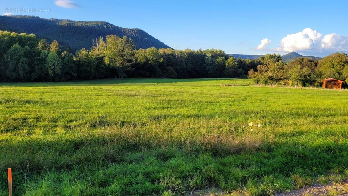 Terrain à SAINT-DIE-DES-VOSGES