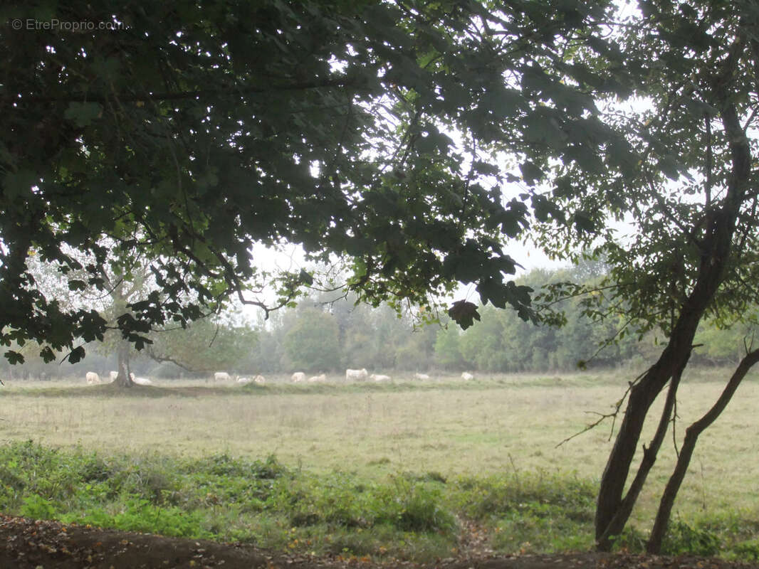 Maison à VILLEFRANCHE