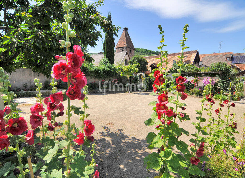 Appartement à AMMERSCHWIHR