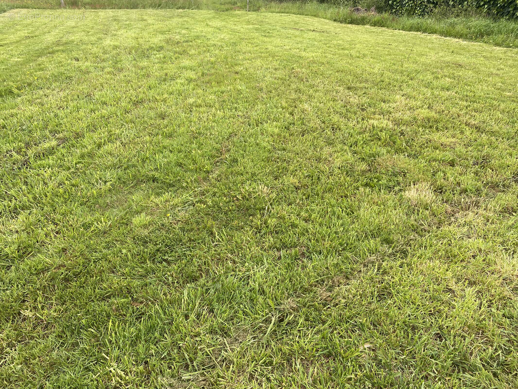 Terrain à AIGREFEUILLE-SUR-MAINE