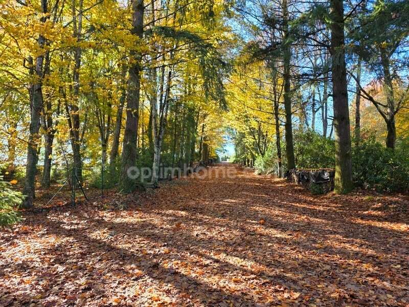 Maison à CHATEAUNEUF-LA-FORET