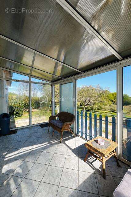 Charmante maison 130M² 4ch, garage + local pro ou locatif 3455M² terrain Savigné 86400 - photo 4