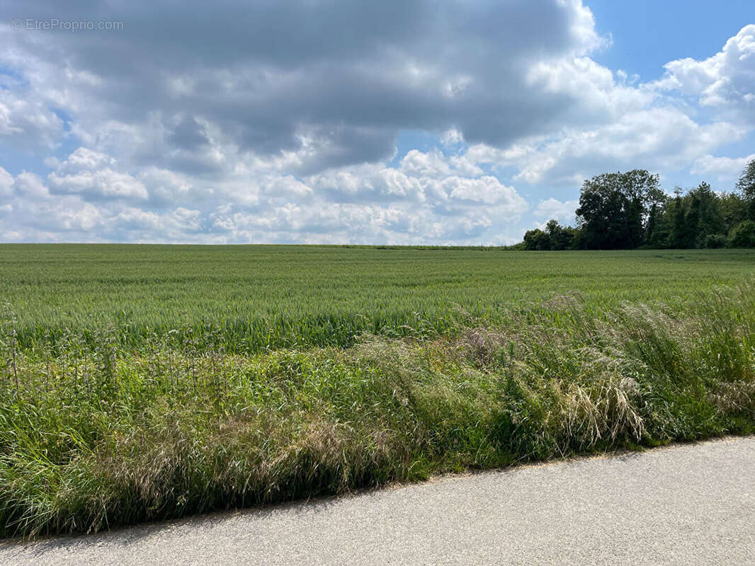 Terrain à DANNEMOIS