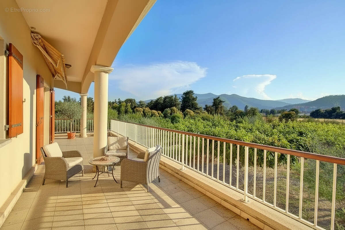 LUCCIANA  - propriété familiale de 202 m² au coeur d'une oliveraie - photo 4