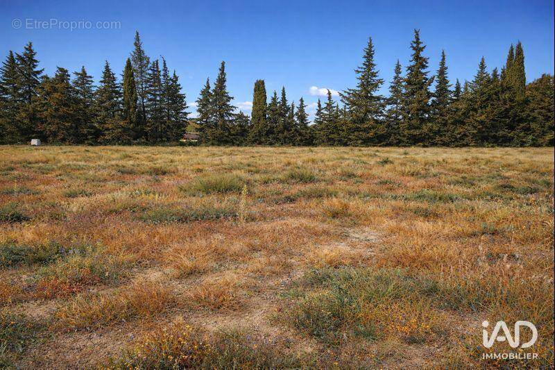 Photo 1 - Terrain à SAINT-PAUL-TROIS-CHATEAUX