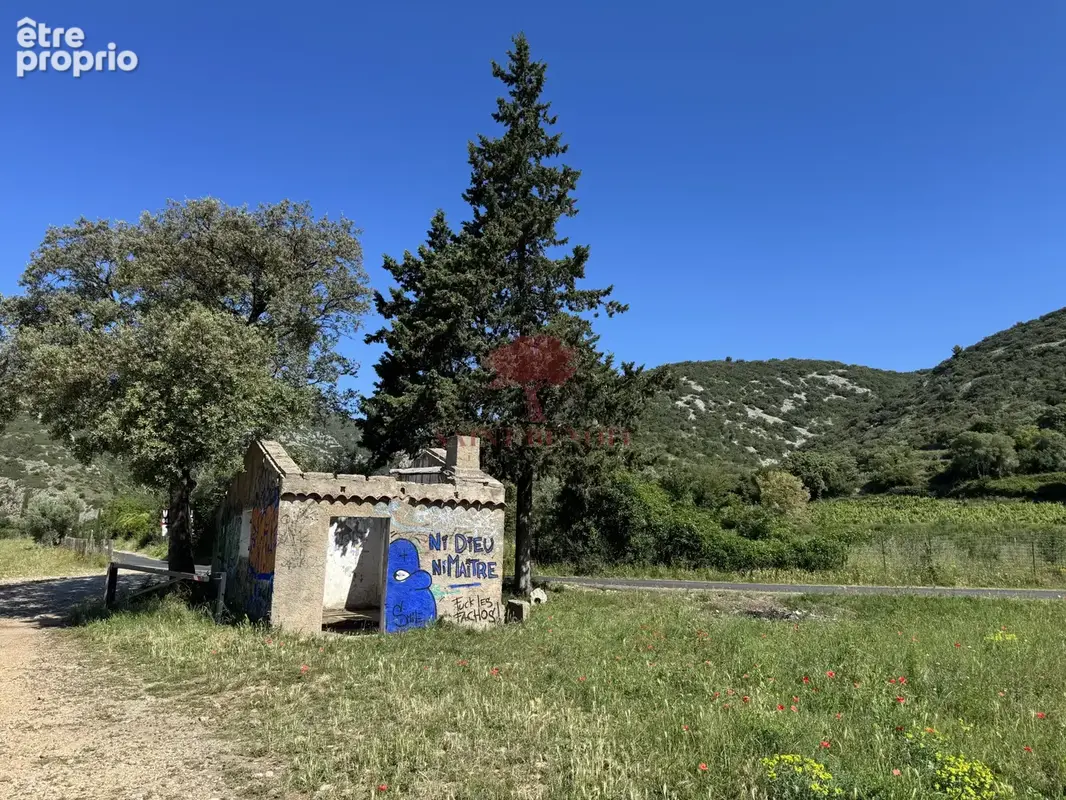Aniane vente mazet agricole - photo 4