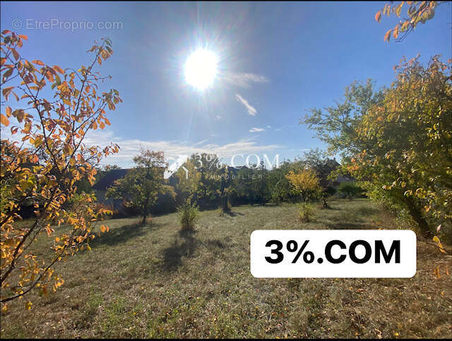 Terrain à DETTWILLER