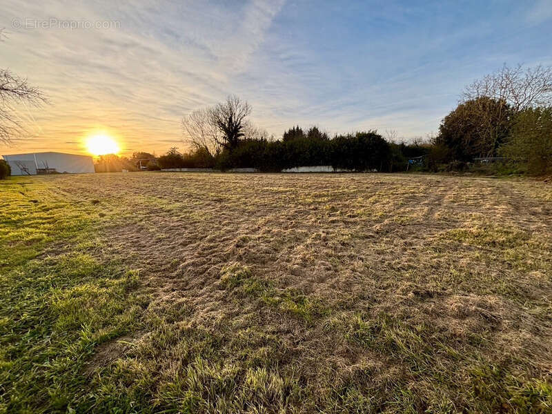 Terrain à TRIE-SUR-BAISE