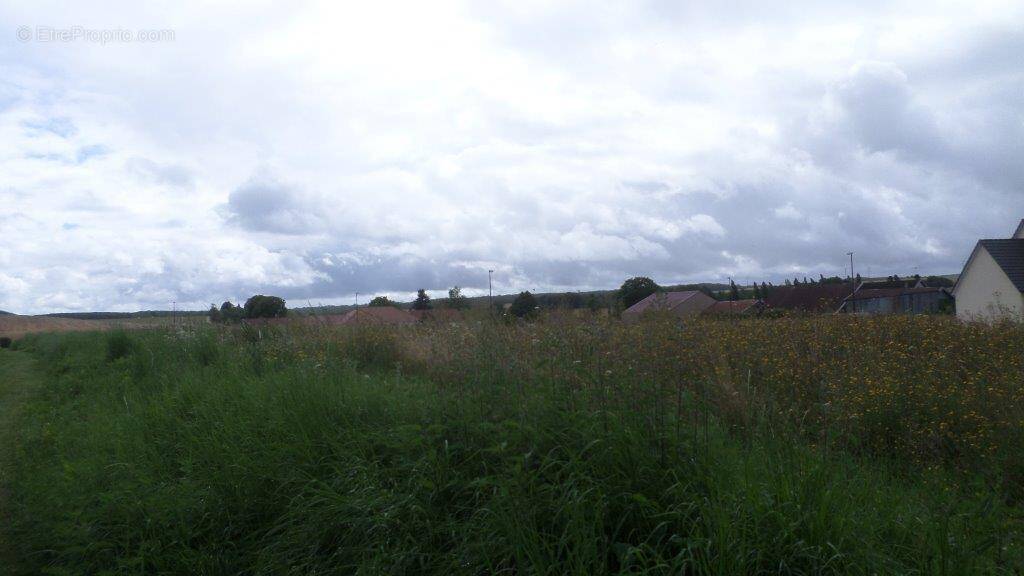 Terrain à CHAMPIGNOL-LEZ-MONDEVILLE