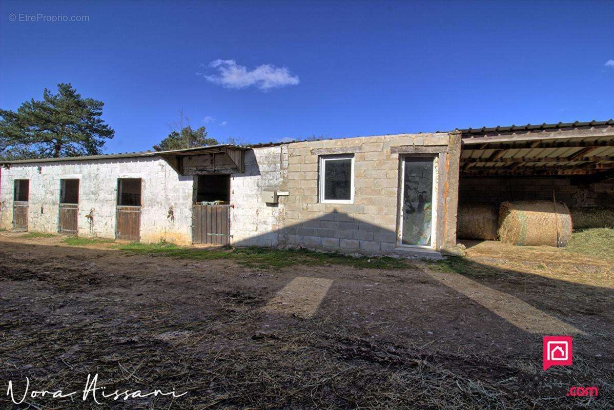 Ecuries 10 boxes 4 hectares - photo 5