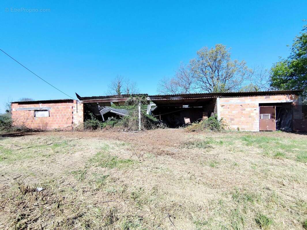 Photo 2 - Terrain à CASTELSARRASIN