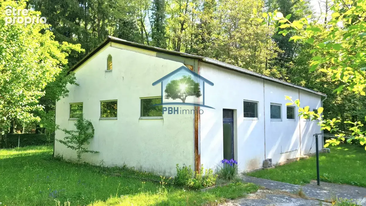 Mitschdorf - hangar + etang - photo 4