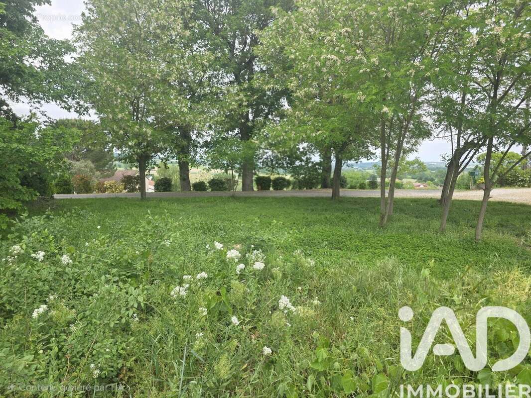 Terrain 2054 m² à Cambounet-Sur-Le-Sor  - photo 3
