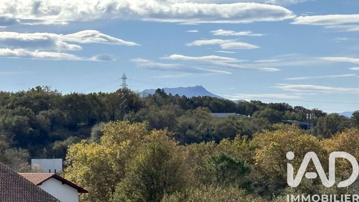 Photo 7 - Maison à SAINT-PIERRE-D&#039;IRUBE