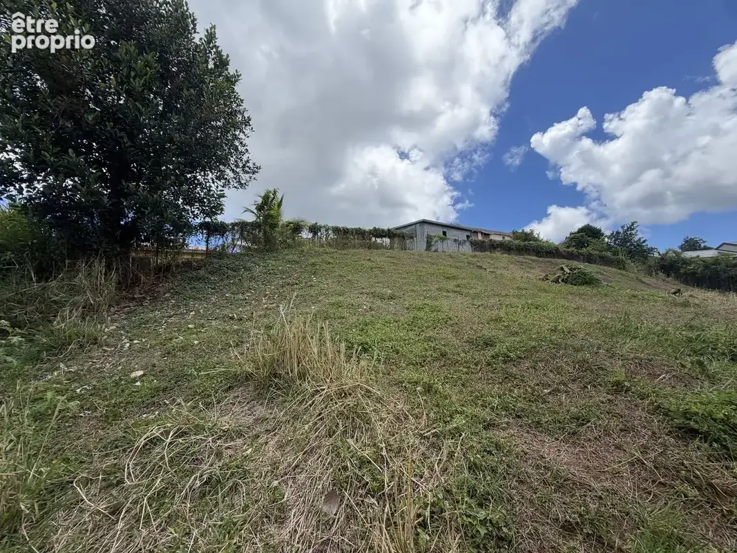 Terrain 940 m² à vendre à La Trinite (97220) - photo 6