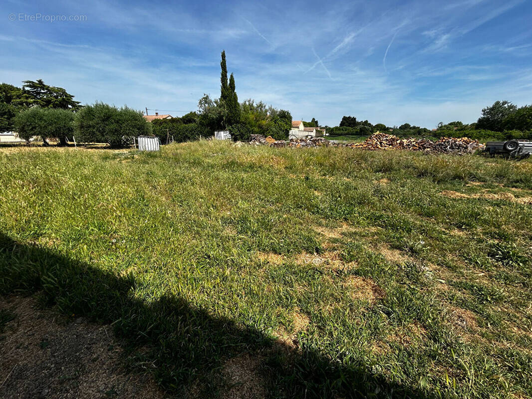 Terrain à CAMARET-SUR-AIGUES