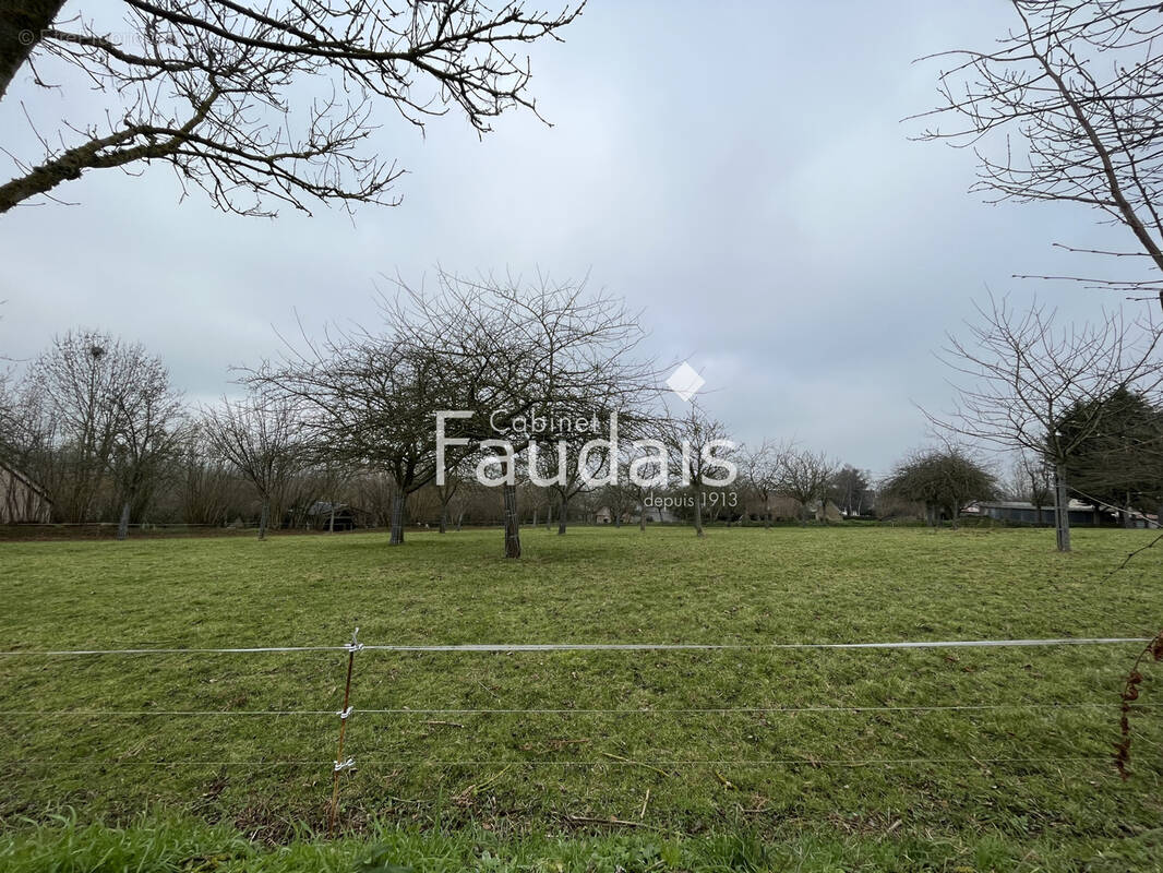 Terrain à LE MESNIL-RAOULT