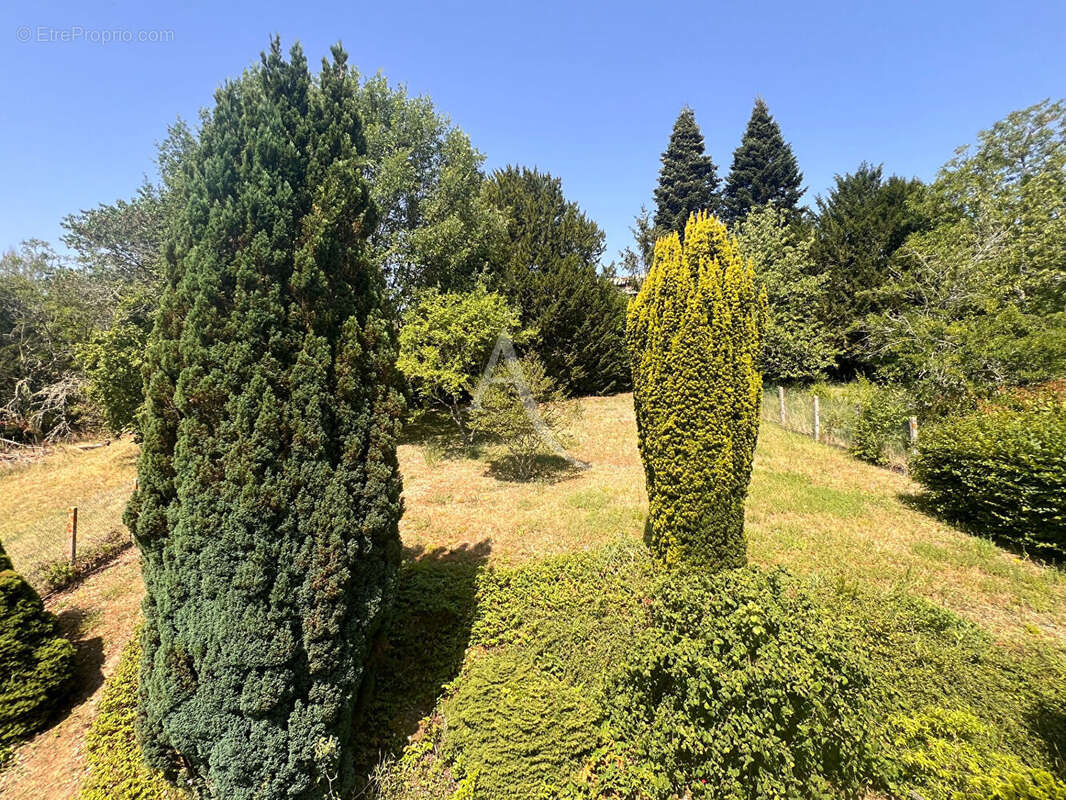 Maison à MONTRICHARD