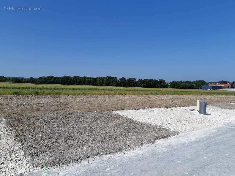 Terrain à SAINS-EN-GOHELLE