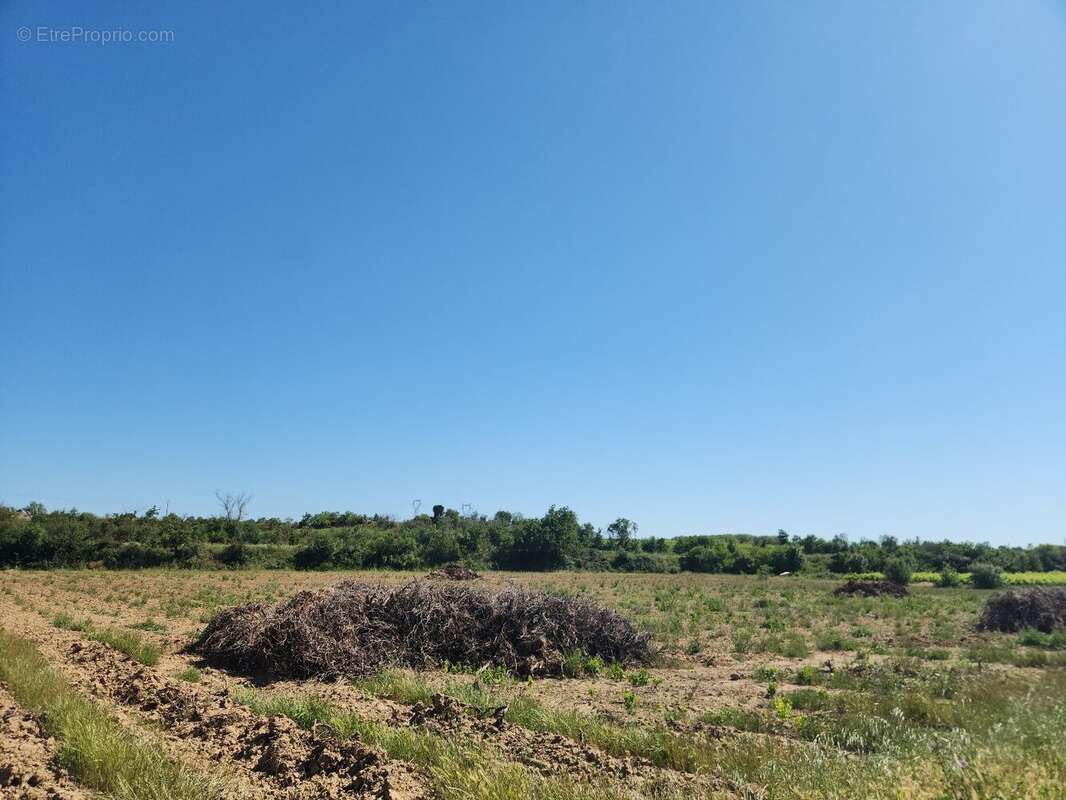 Terrain à TREBES