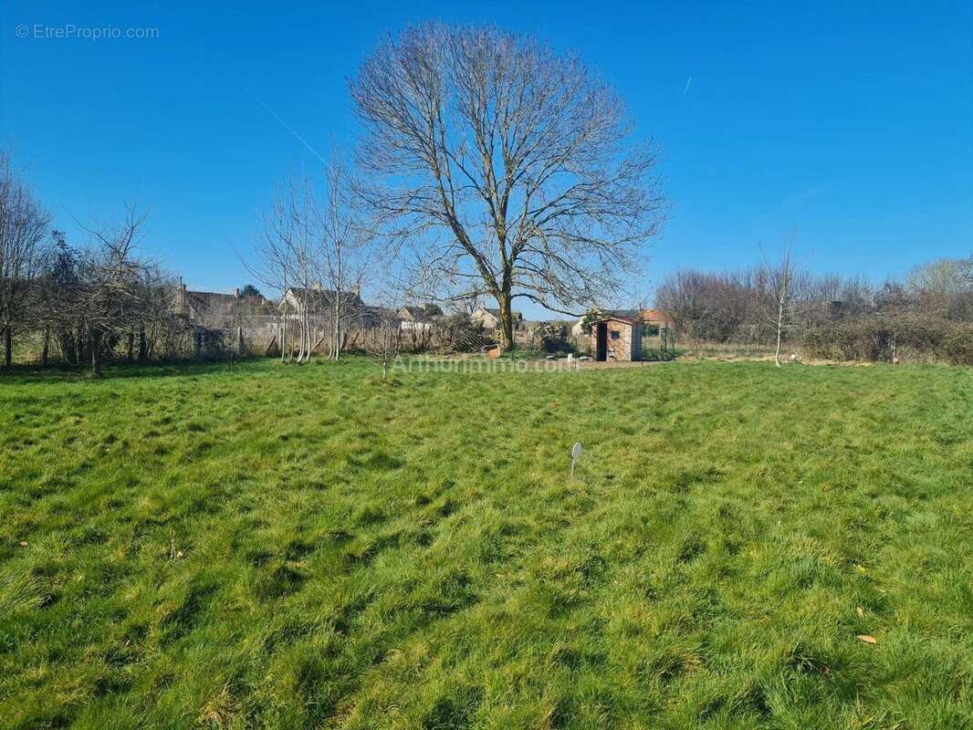 Terrain à BRETTEVILLE-SUR-LAIZE