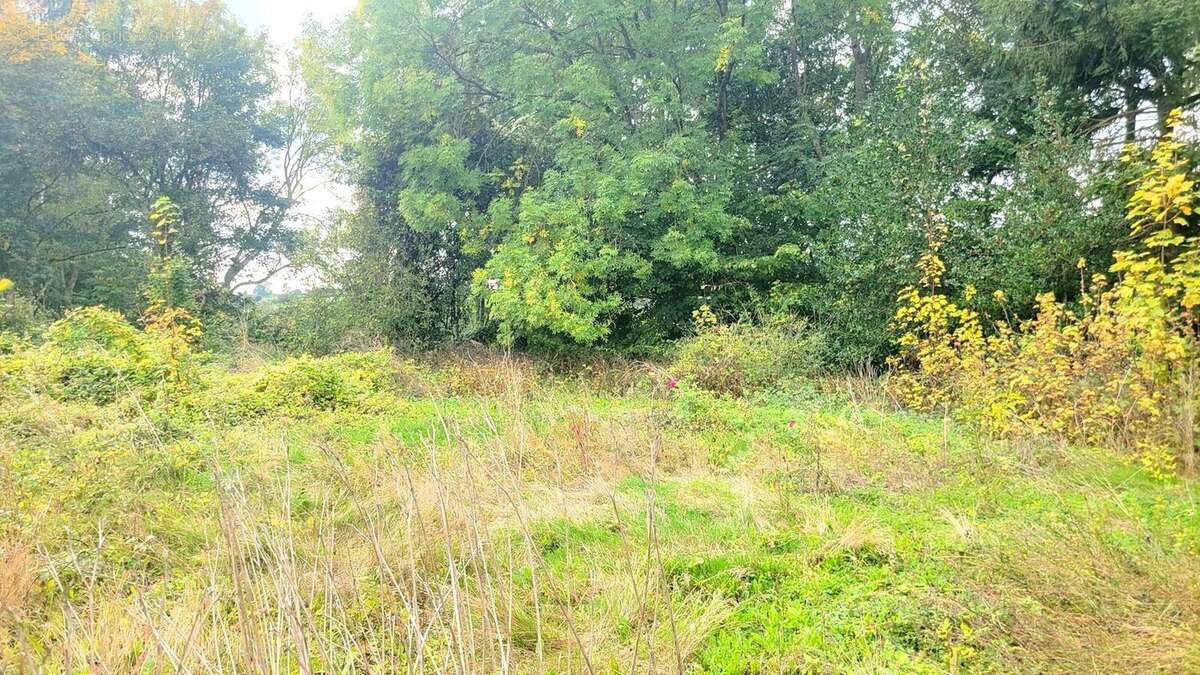 Maison à SAINT-MARTIN-RIVIERE