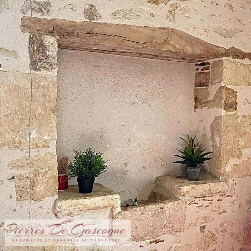 Proche CONDOM - Maison de campagne secteur CASTERA-VERDUZAN sur 10.095m² de terrain. - photo 5