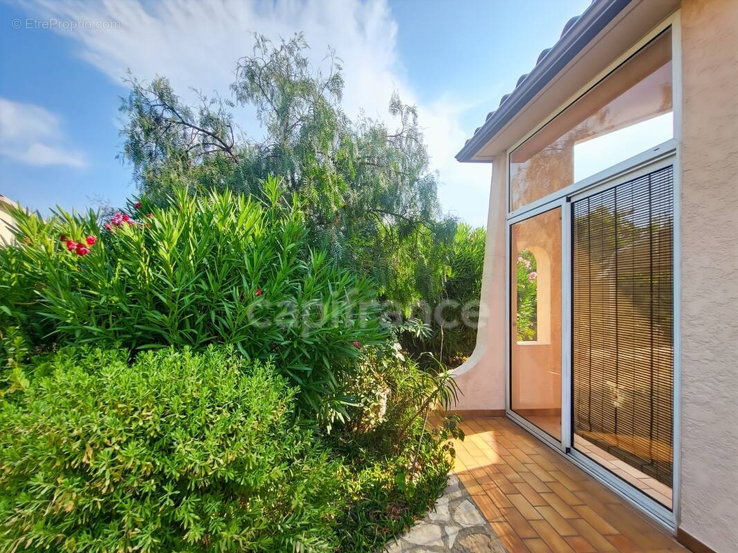 Maison à CABESTANY