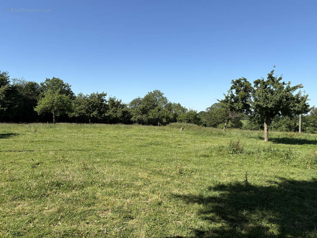 Propriete equestre à vendre proche haras du pin - photo 20