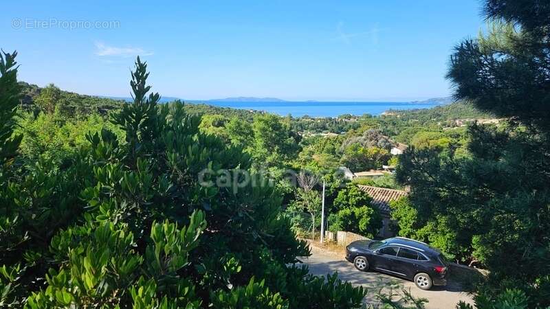 Terrain à LE LAVANDOU