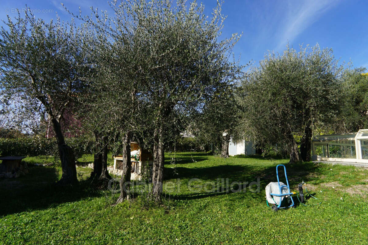 Maison à PEYMEINADE