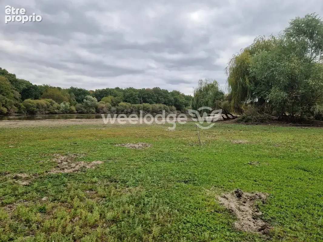 Terrain 81 000 m² à vendre à Velles (36330) - photo 5