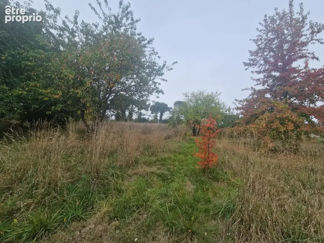 Entre pontivy et loudeac... - photo 14
