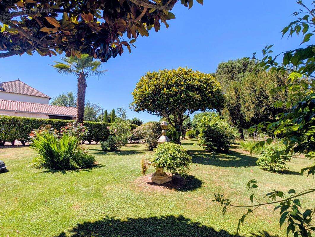 Propriété avec Maison de Maître, Maison Annexe et Maison de Gardien sur parc de 1,5 hectare - photo 16