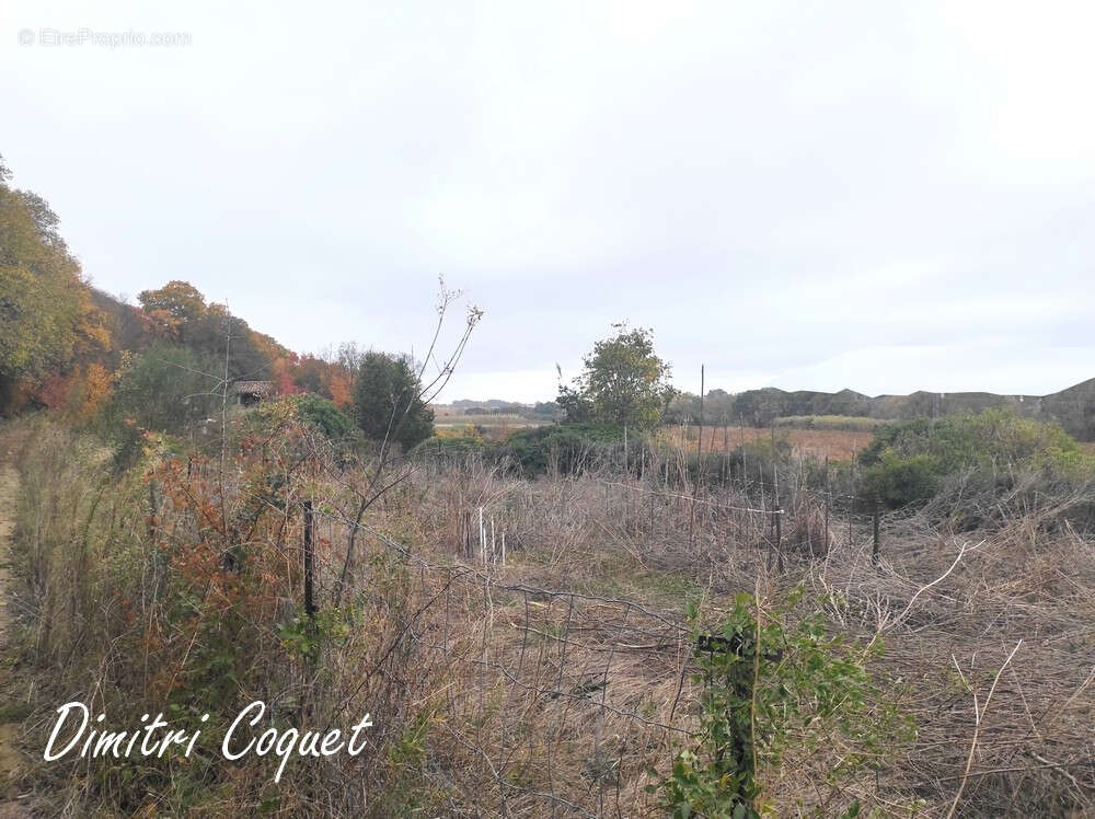 Terrain à COULOBRES