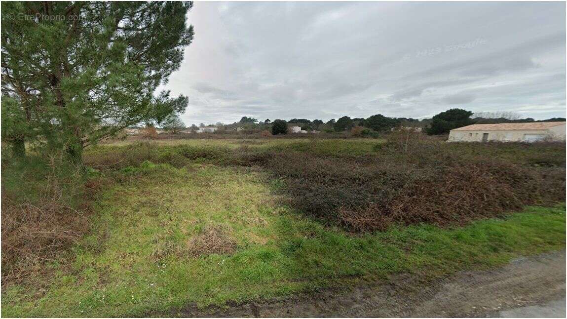 Terrain à SAINT-AUGUSTIN