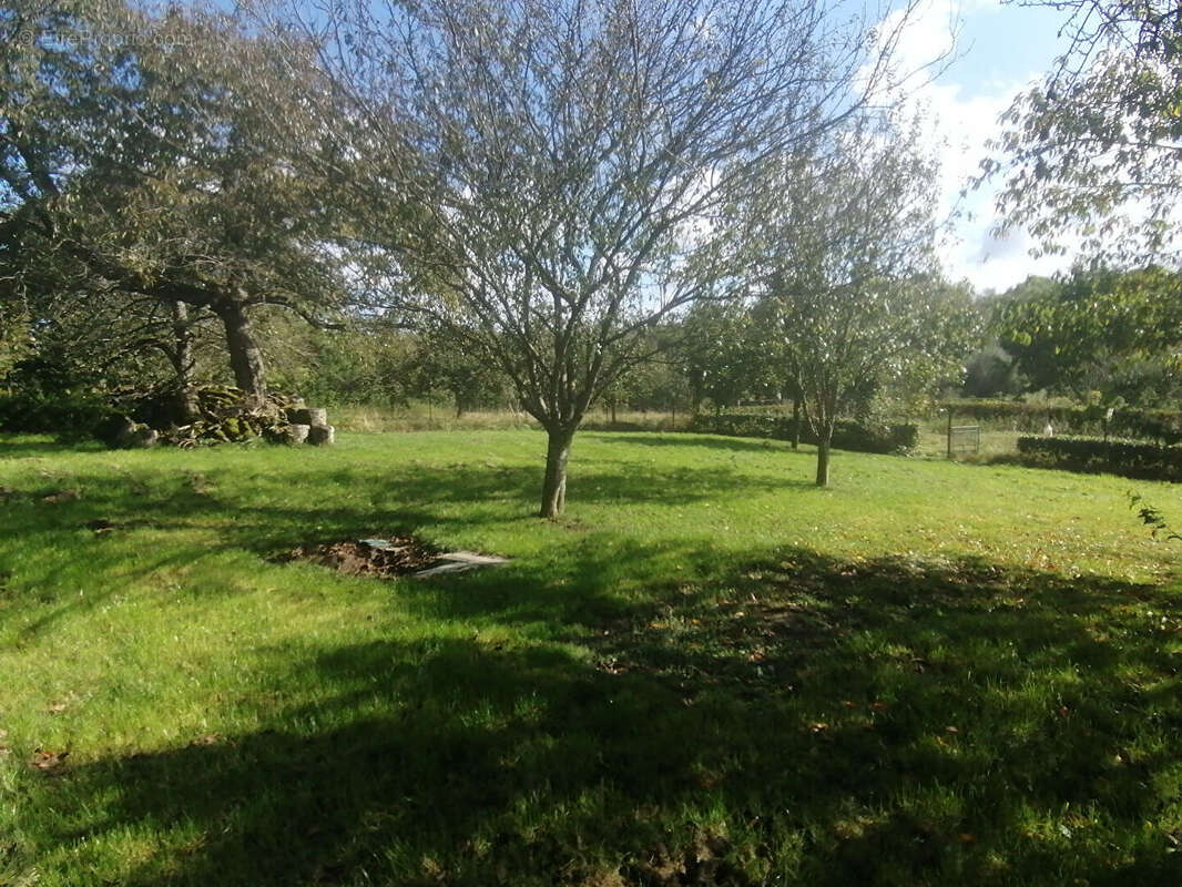 Maison à MARFONTAINE