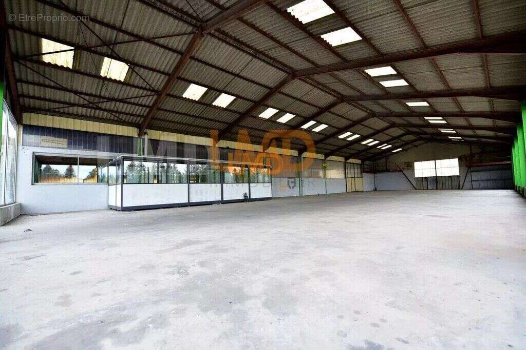 Commerce à SALLES-CURAN