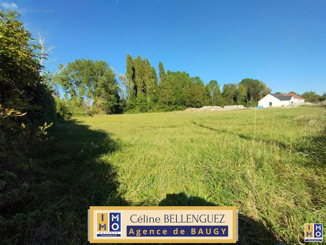 Terrain à BAUGY