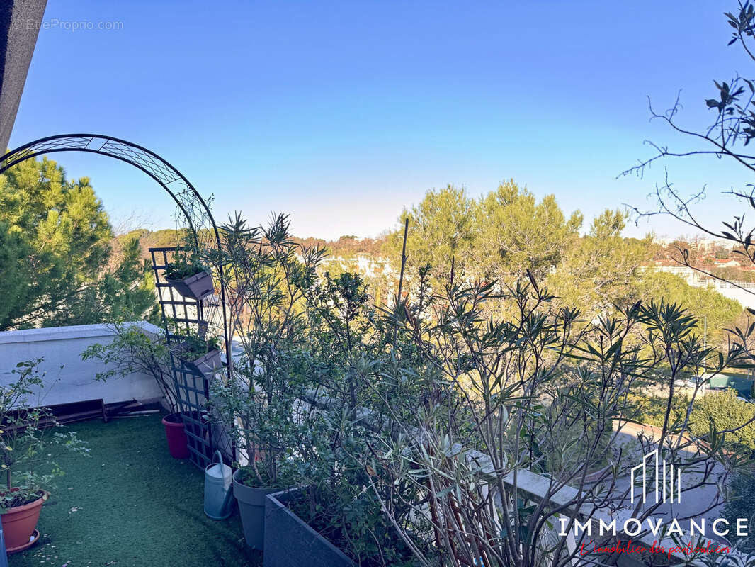 Appartement à MONTPELLIER