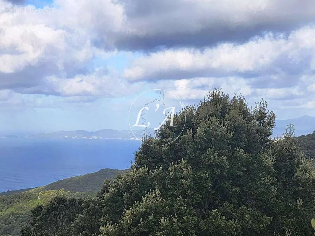 Terrain à COTI-CHIAVARI