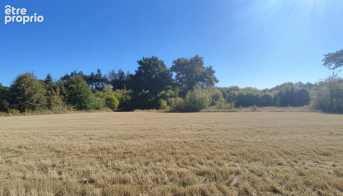 Ensemble immobilier en pierre avec terrain attenant de 5067m2 Soursac 19550 - photo 18