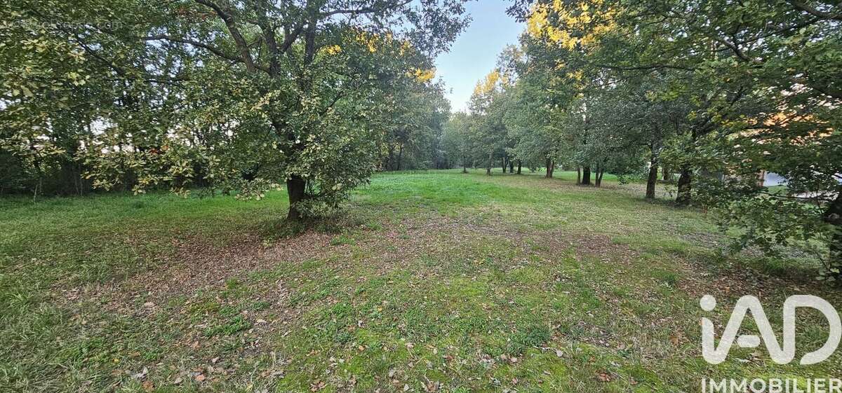 Terrain 2207 m² à Mauressac  - photo 4