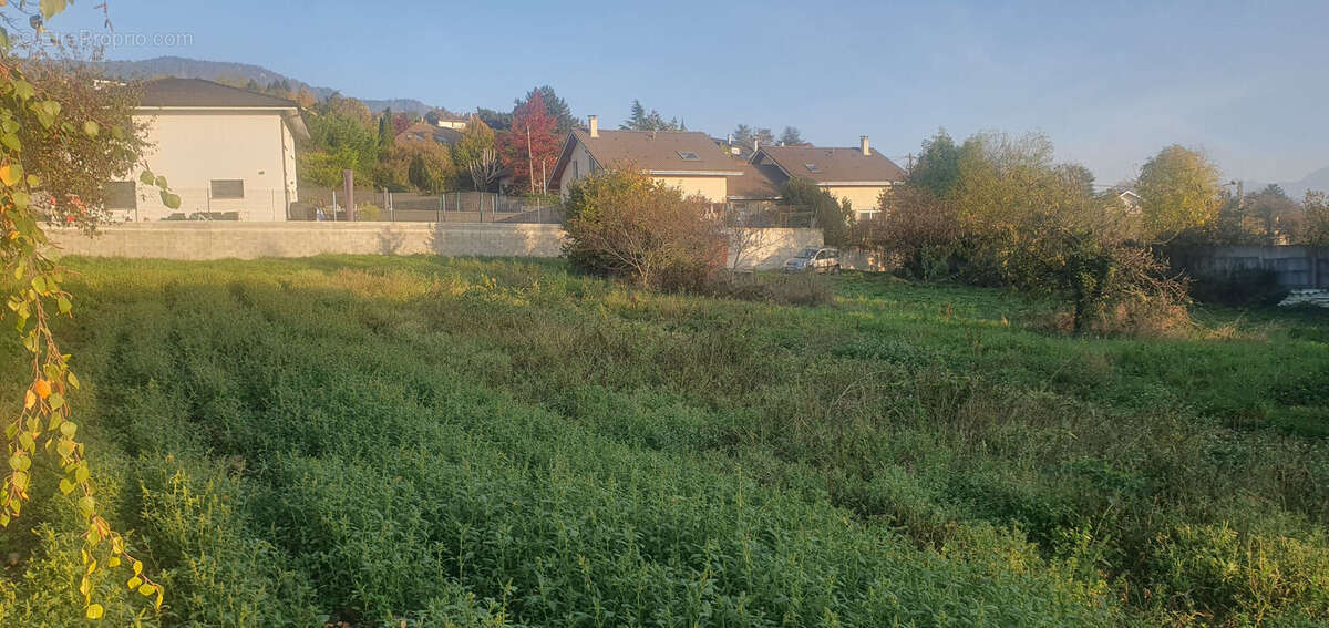 Terrain à CRANVES-SALES