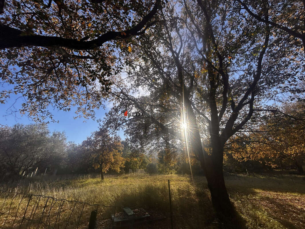 Terrain à ARGELES-SUR-MER