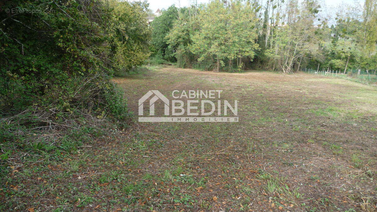 Terrain à BRANNE