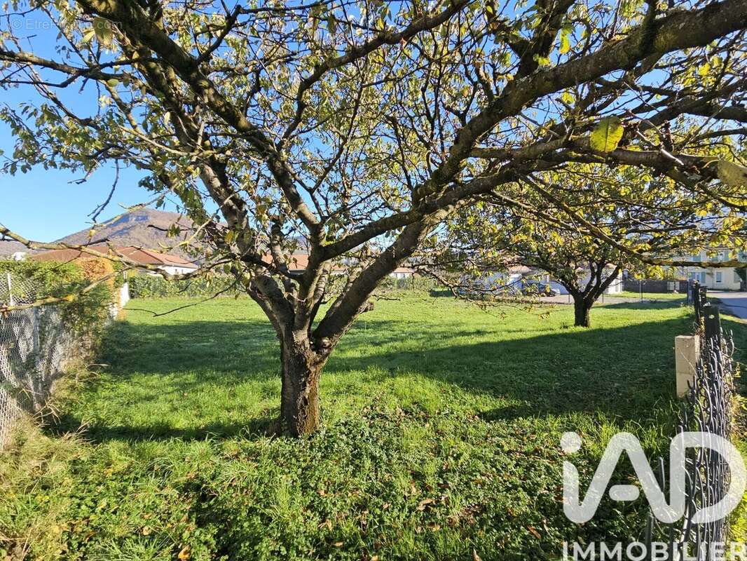 Photo 7 - Terrain à VOIRON